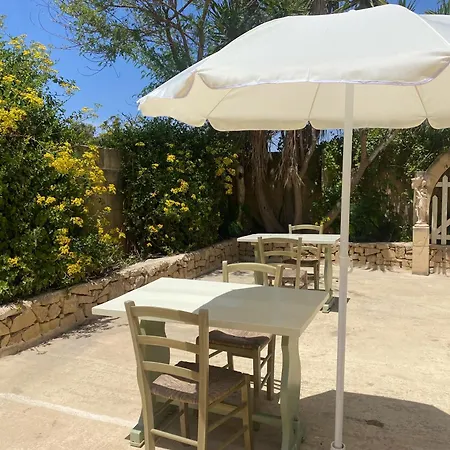 Mystic Flower Birbuba