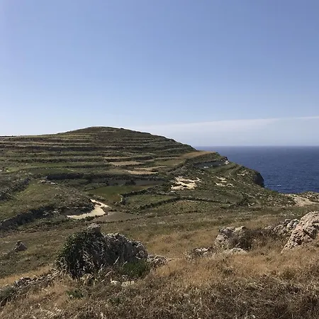 Mystic Flower Bed and breakfast *