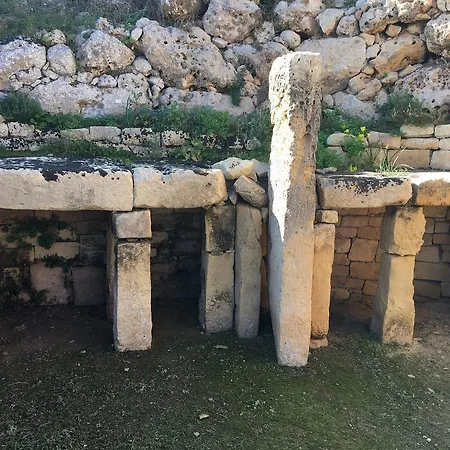 Mystic Flower Bed and breakfast