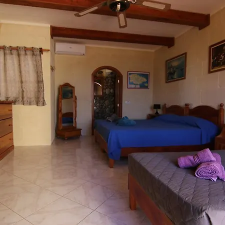 Mystic Flower * Birbuba