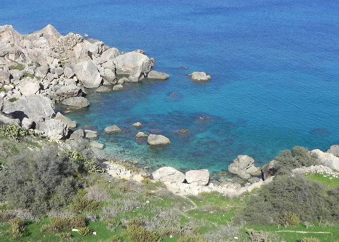 Mystic Flower Birbuba