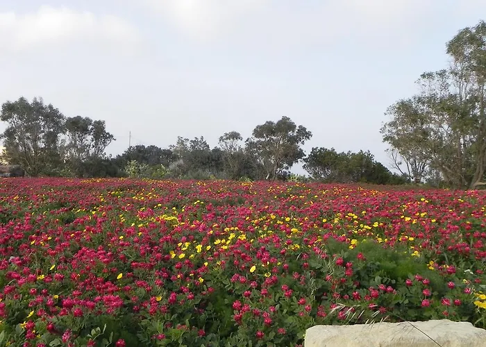 Mystic Flower * Birbuba