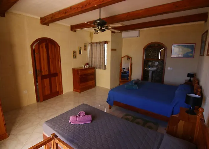 Mystic Flower Birbuba