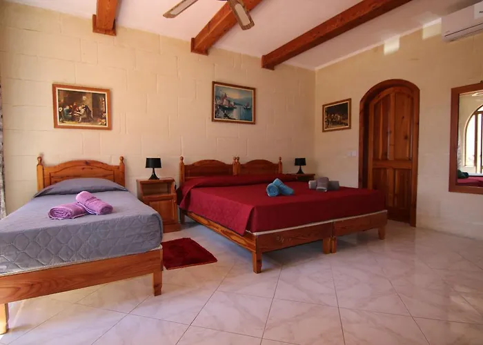 Mystic Flower Birbuba