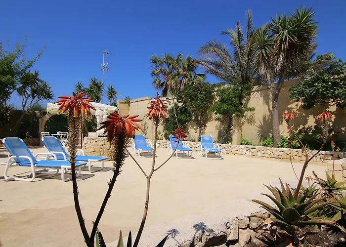 Mystic Flower * Birbuba