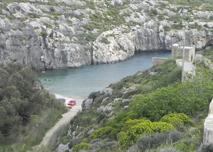 Mystic Flower Birbuba