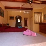 Mystic Flower Отель типа 