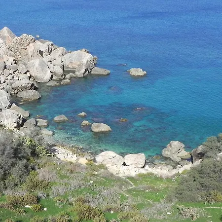 Mystic Flower Birbuba