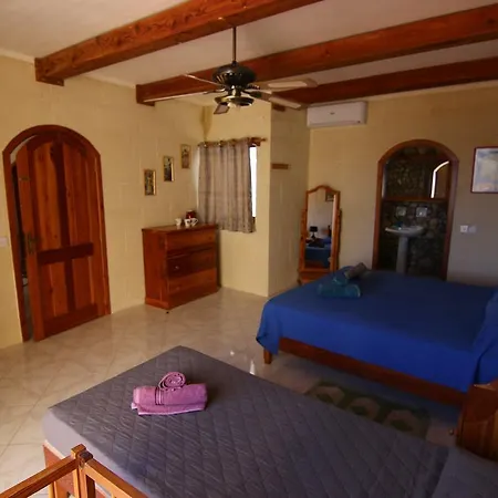 Mystic Flower Birbuba