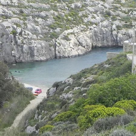 Mystic Flower Birbuba