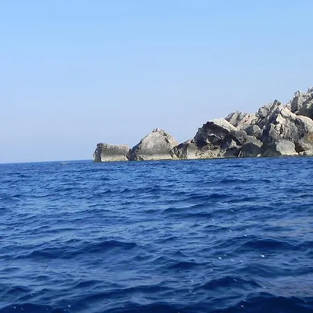 Frühstückspension Mystic Flower