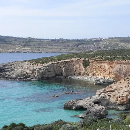 Mystic Flower Frühstückspension *