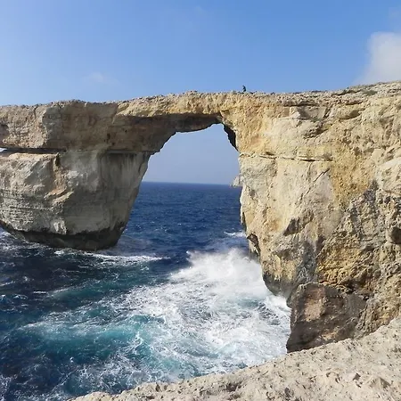 Mystic Flower Birbuba