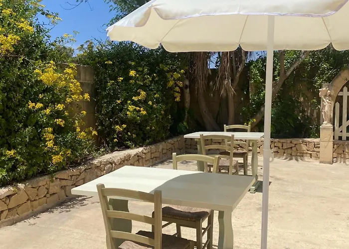 Mystic Flower Birbuba