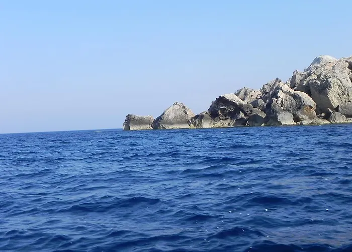 Bed & Breakfast Mystic Flower