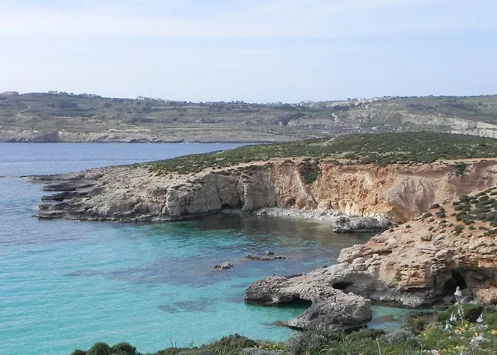 Mystic Flower Bed & Breakfast *