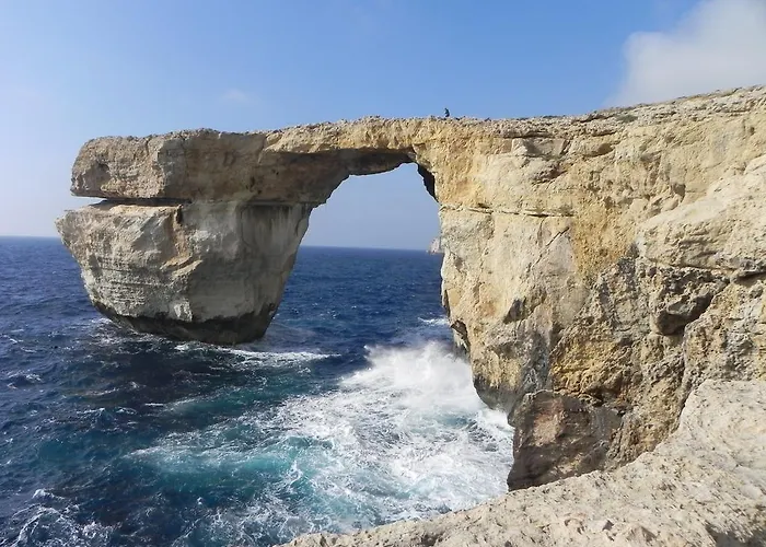 Mystic Flower Birbuba